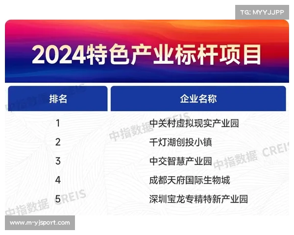 沙市区政策瞄准产业融合 打造羽球城市名片 沙市区政策瞄准产业融合 打造羽球城市名片